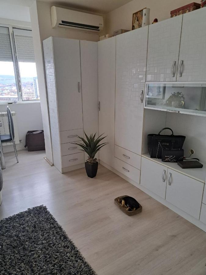 Apartman Sa Panoramom Kruševac エクステリア 写真